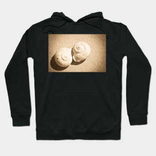 Shells Hoodie